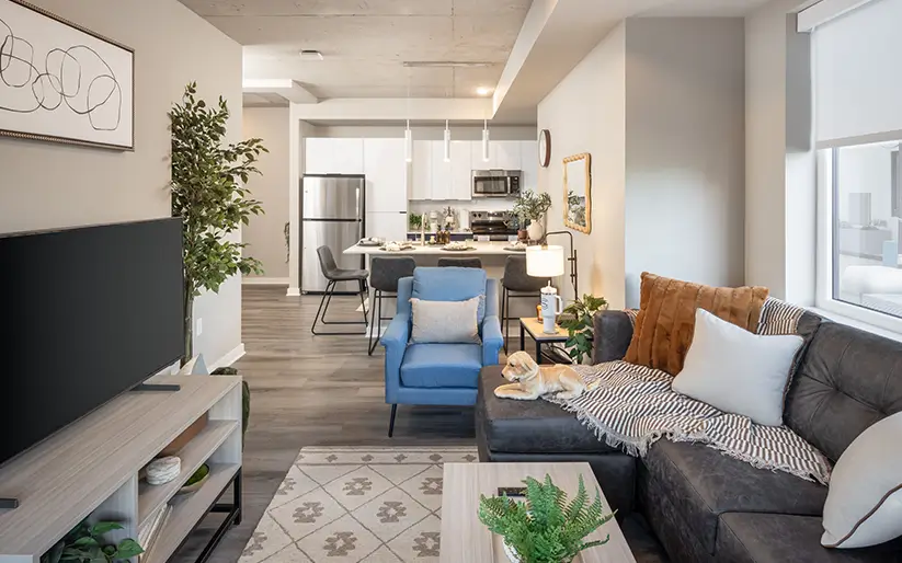 furnished living space