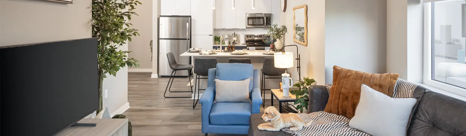 shared living space